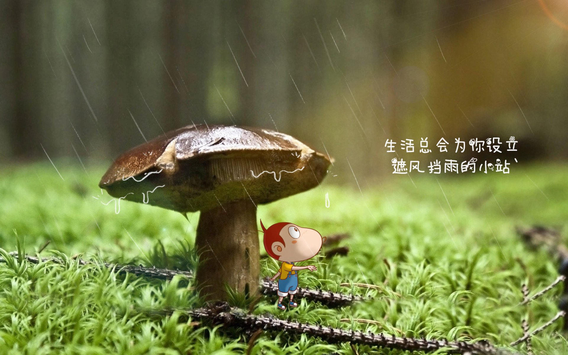 开云·Kaiyun网页版-智能运动课程设计平台在教师教学中的辅助作用，智能化运动控制与训练系统
