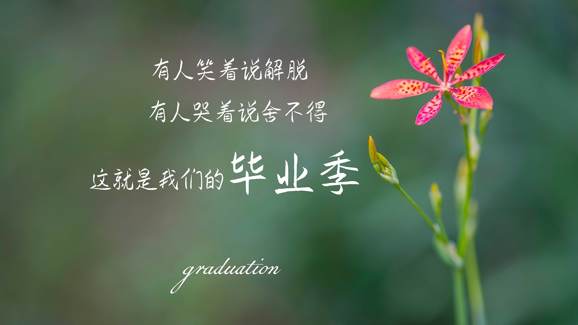 开云电竞-运动员训练科学管理体系，运动训练管理工作体系