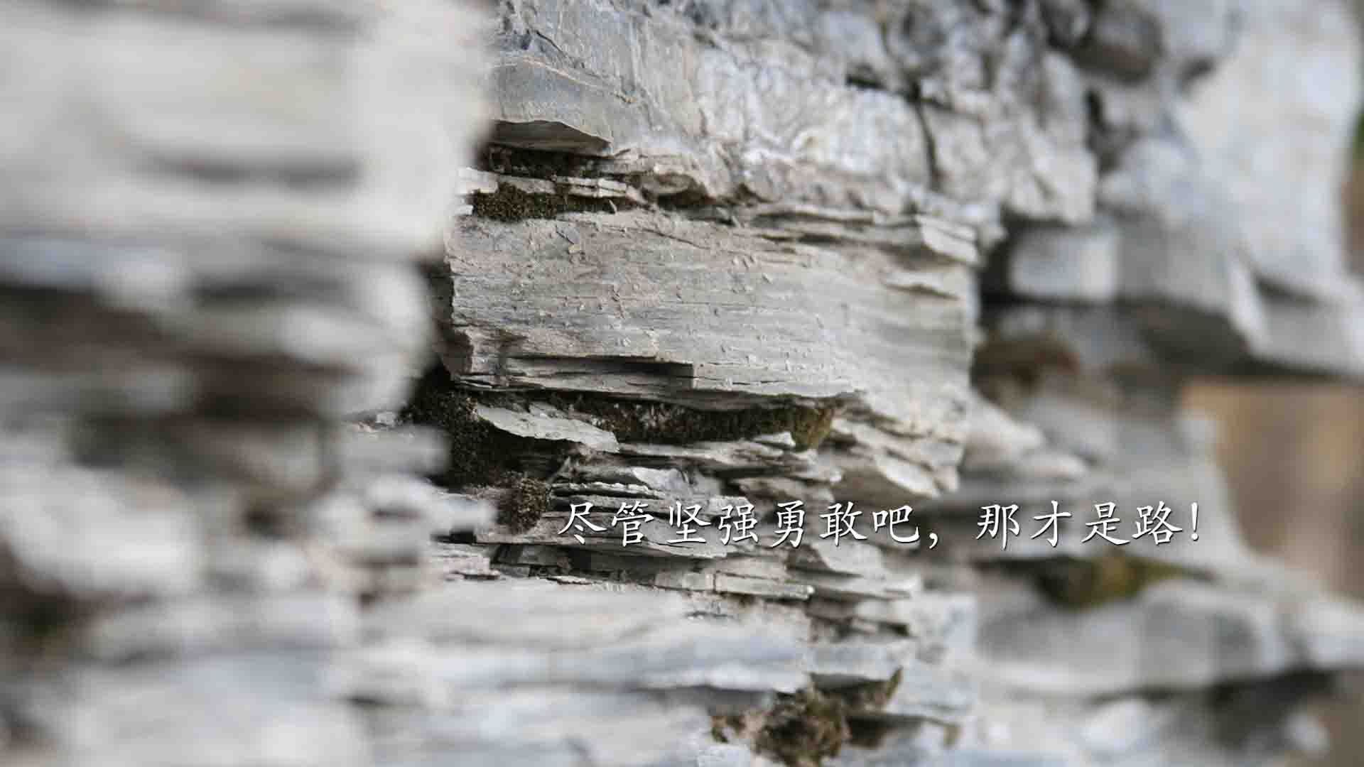 开云在线直播-中国男篮队员表达决心 为国出战全力以赴，中国男篮出战大名单  第1张