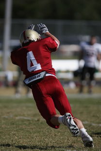 开云官网首页-五大联赛争四阶段关键球员贡献值差异对比,五大联赛引援 第1张 开云官网首页-五大联赛争四阶段关键球员贡献值差异对比,五大联赛引援 第1张