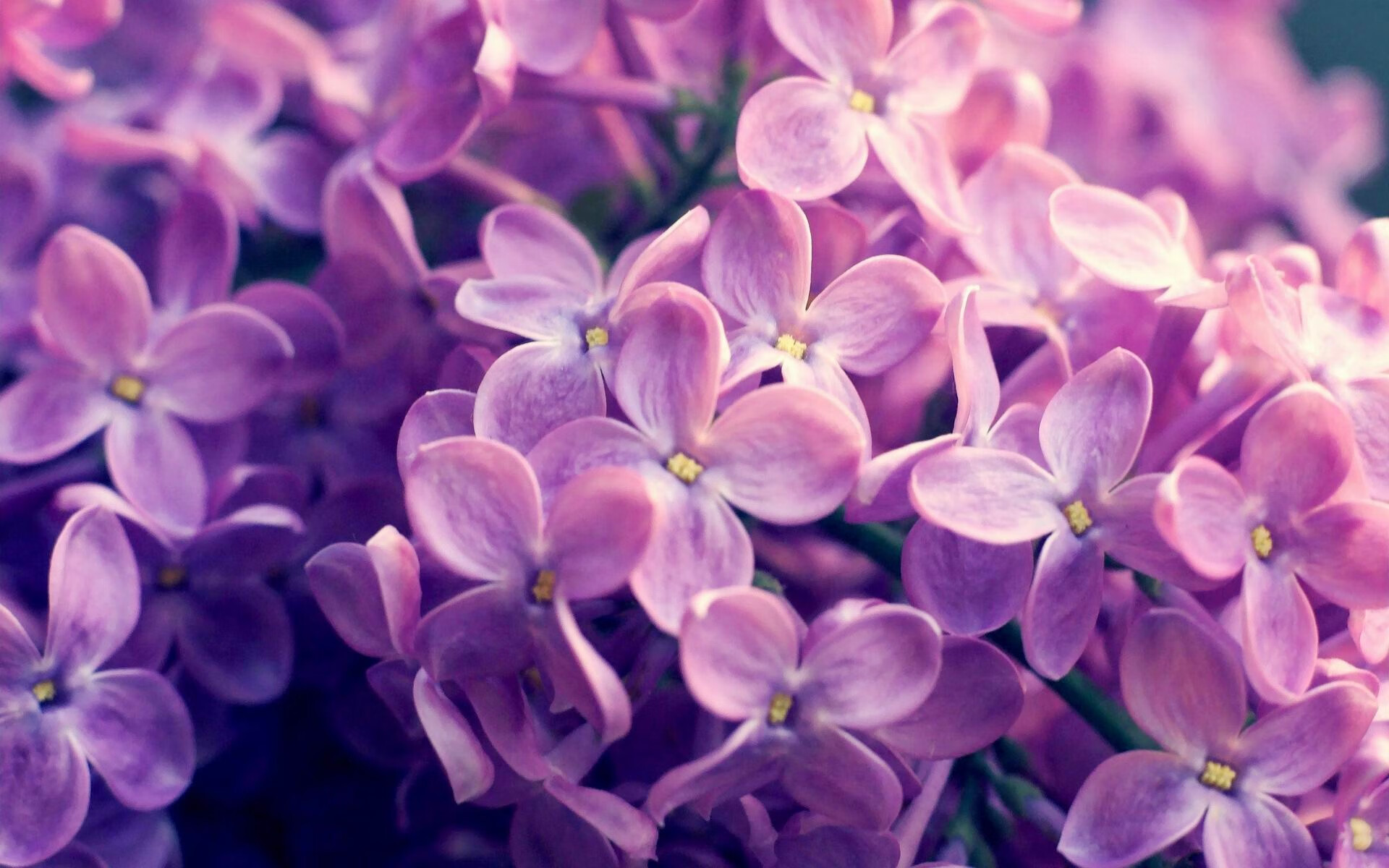 开云体育APP下载-奥预赛中国青年队爆冷 技术执行仍需提升，2022青奥