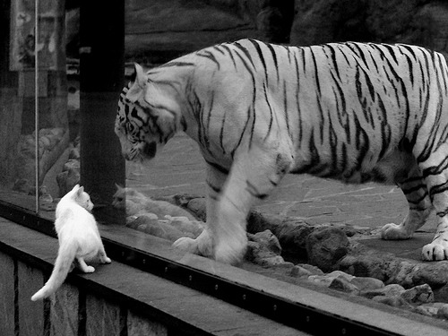 kaiyun 开云体育-世界杯最震撼进球：让人久久难以忘怀，世界杯十大进球视频  第1张