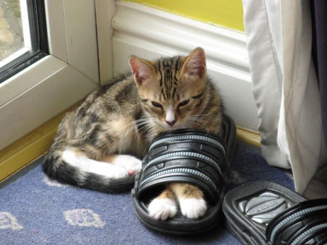 kaiyun 开云体育-世界杯最震撼进球：让人久久难以忘怀，世界杯十大进球视频  第3张