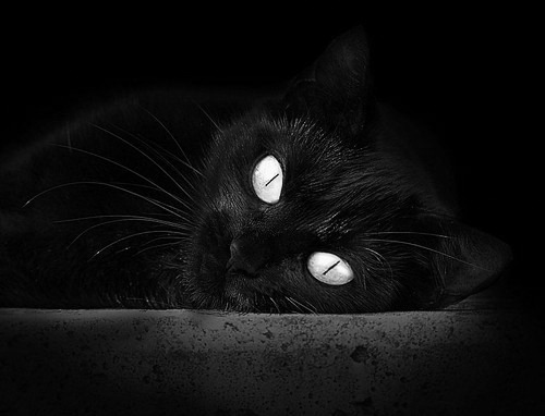 开云体育全站-基础设施投资助推地区俱乐部成长，基础设施投资助推地区俱乐部成长的句子