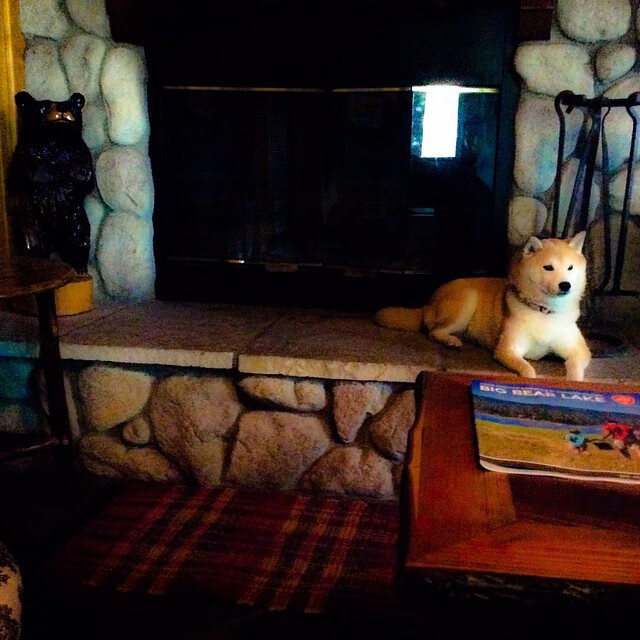 开云注册-澳大利亚接力队决赛精彩瞬间成为焦点，澳大利亚友谊赛