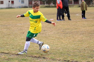 开云登录-40岁C罗再创神迹：沙特联赛独中两元，助球队登顶！，c罗特辑